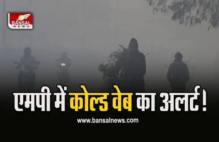 MP Weather : प्रदेश में शीतलहर की चेतावनी, इन जिलों में बढ़ेगा कहर, 8 डिग्री पर आ गिरा पारा