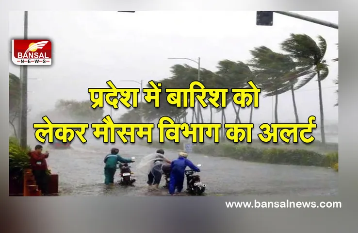 MP Weather Update (Cold Morning In MP ) : एमपी में शीतलहर, आज भी बारिश के आसार