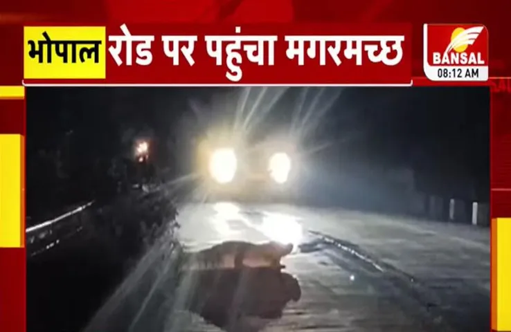 MP Weather Update: बदलेगा मौसम, बढ़ेगी चिपचिपी गर्मी, कलियासोत डैम से रोड पर पहुंचा मगरमच्छ