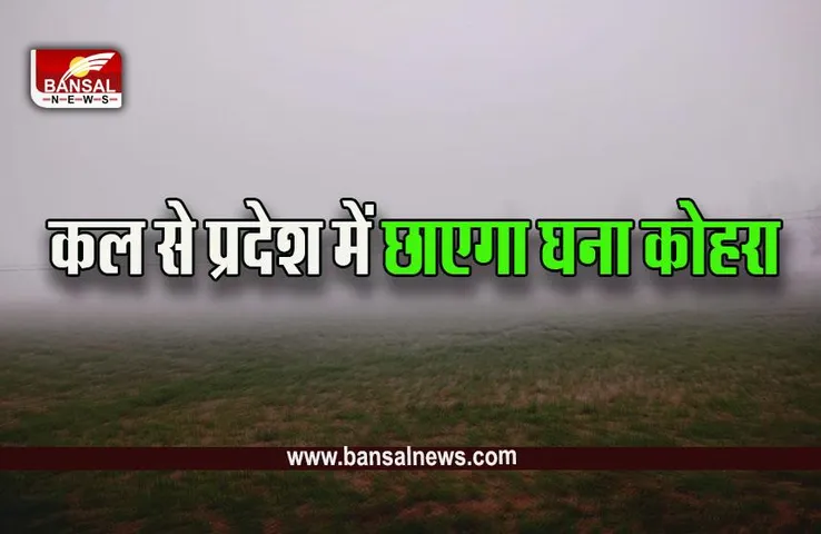 MP Weather Orange-Yellow Alert : एमपी के इन जिलों में घने कोहरे का ऑरेंज और यलो अलर्ट जारी, मौसम विभाग ने दी चेतावनी