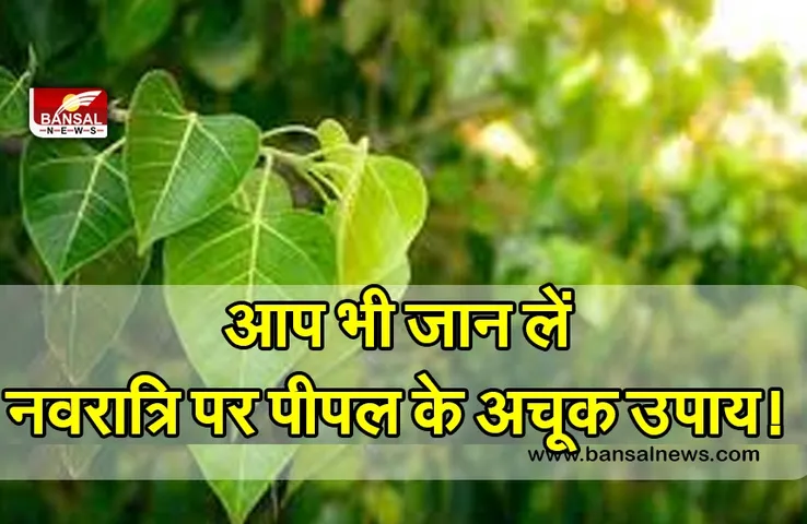 Chairta Navratri 2023 Totke : नवरात्रि में पीपल के पत्ते का ये विशेष उपाय आपको बनाएगा मालामाल, नवरात्रि में करें ये अचूक टोटके