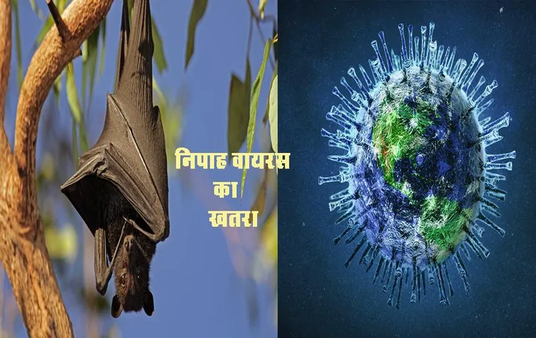 Nipah Virus: निपाह वायरस को रोकने के लिए केरल सरकार ने जारी किया अलर्ट, जानें कितना खतरनाक है निपाह वायरस