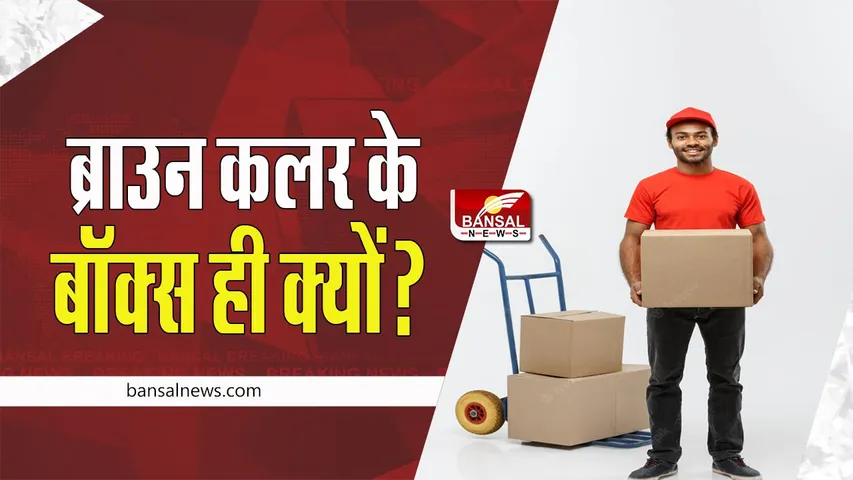 Delivery Box Colour: क्या आपने सोचा है ? आखिर ब्राउन कलर के बॉक्स में ही क्यों आते है डिलिवरी प्रॉडक्ट्स, जानिए !