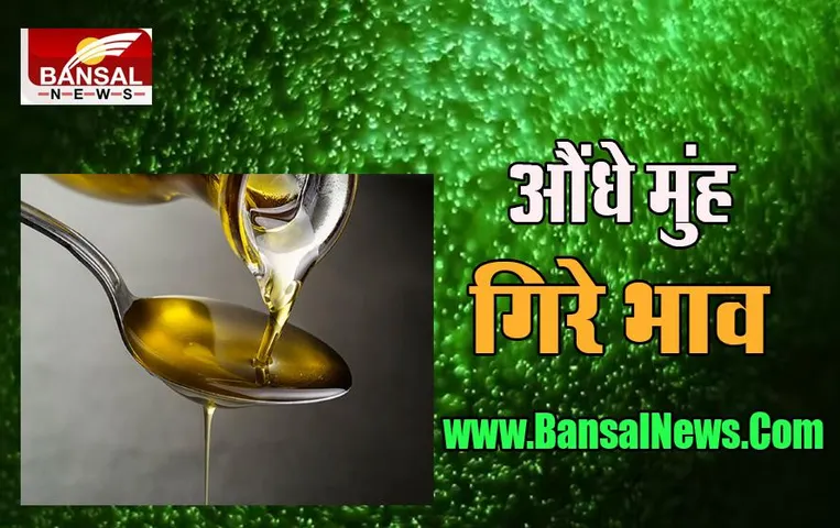 Edible Oil Price: फिर धड़ाम से गिरे खाने के तेल के भाव, ये है ग्लोबल मार्केट का हाल, जानें क्या है पूरी खबर