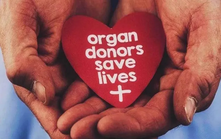 Kerla News: सरकार अंगदाताओं को सम्मानित करने की नीति पर कर रही विचार, पढ़े पूरी खबर