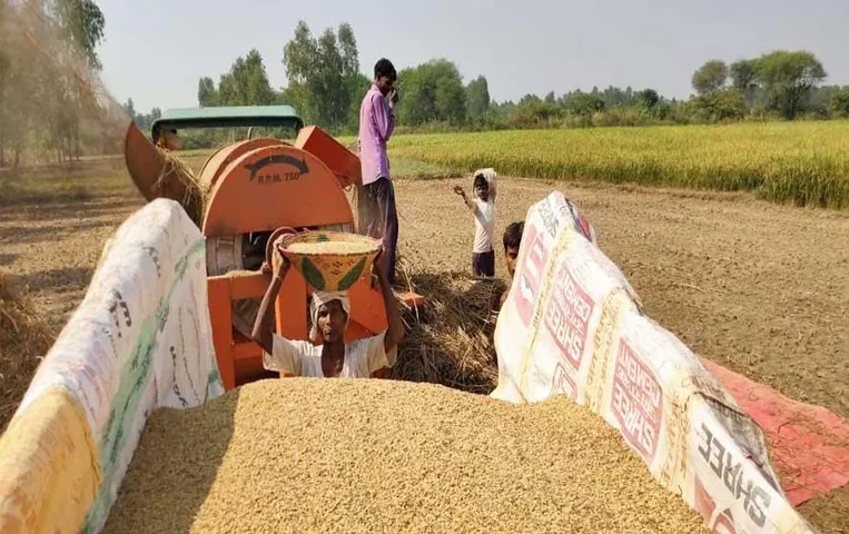 MP News: जबलपुर में खेत में रखी धान की फसल समेत कृषि उपकरण चोरी, किसानों रोहंगियों पर लागाए आरोप