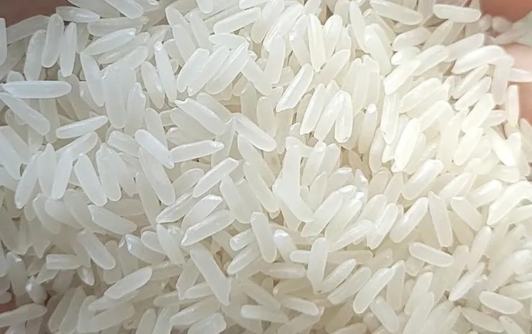 प्लास्टिक चावल है सेहत के लिए खतरनाक, जानिए प्लास्टिक चावल की पहचान कैसे करें