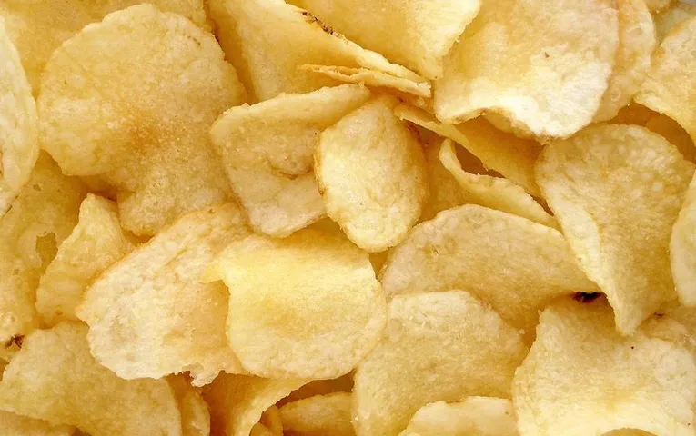 Business Idea: 1000 रुपये की लागत से शुरू करें ये धमाकेदार बिजनेस, बन सकते हैं लखपति