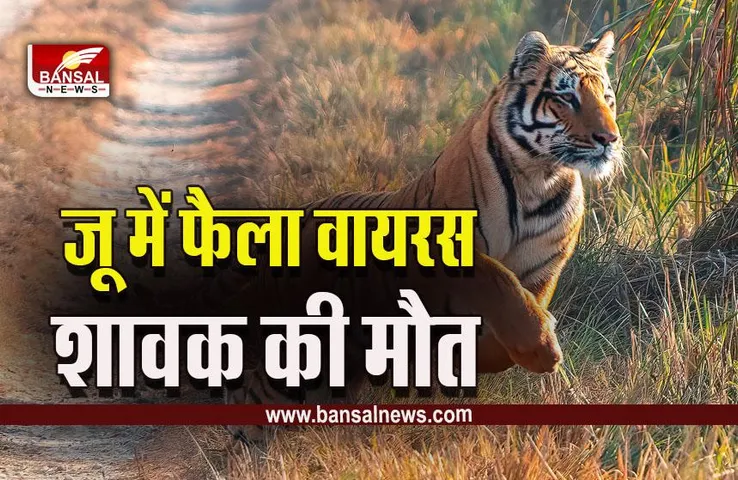 Bilaspur Kanan Pendari Zoo : जू में फैला वायरस, नर शावक 