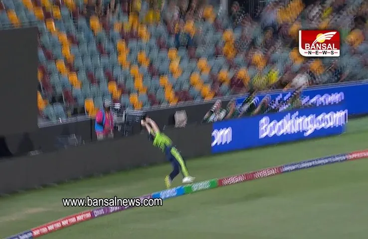 AUS vs IRE: मैकार्थी की जबरदस्त फील्डिंग देख हो जाएंगे हैरान, देखें वीडियो