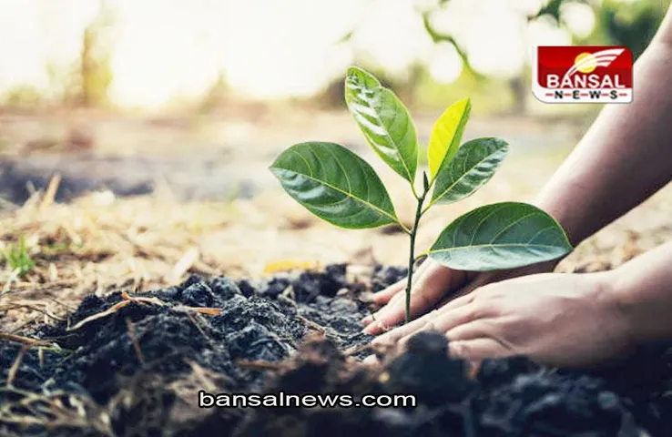 UP News: उप्र में 35 करोड़ पौधे लाने की आज शुरू होगा 'वृक्षारोपण अभियान', योगी ने सभी से एक पौधा लगाने की अपील की