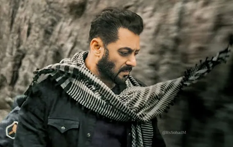 Salman Khan on Tiger 3: मुझे टाइगर फ्रैंचाइजी पर गर्व है, टाइगर की सराहना पर क्या बोले सलमान खान