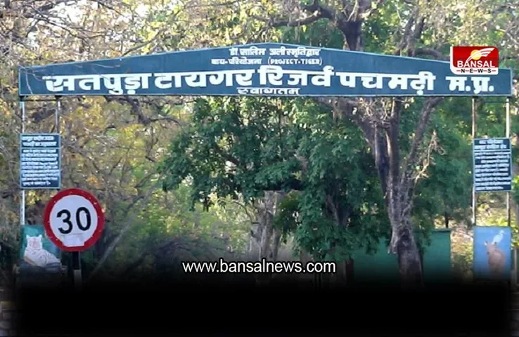 सतपुड़ा टाइगर रिजर्व क्षेत्र में लगातार पर्यटकों को मिल रहा, जंगल सफारी के दौरान रोमांच