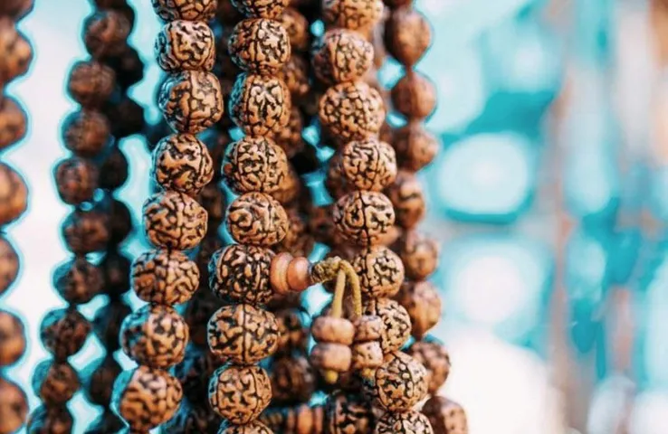 Sawan 2023: सबसे अच्छा रुद्राक्ष कौन सा होता है, रुद्राक्ष के बारे में जानें सब कुछ