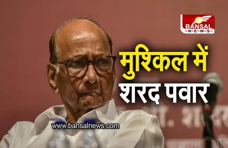 NCP: शरद पवार की NCP से छीन जाएगा राष्ट्रीय पार्टी का दर्जा! चुनाव आयोग करेगा समीक्षा