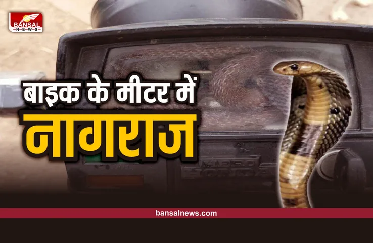 Viral Video : बाइक के स्पीड मीटर में फंसी नागिन, देखे वायरल वीडियो