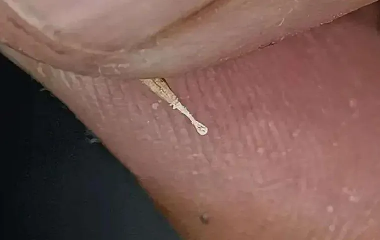 Guinness World Record: लड़के ने लकड़ी के चम्मच के साथ कर दिया ऐसा कमाल, गिनीज बुक में दर्ज हुआ नाम