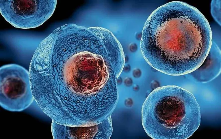 Stem Cell Therapy: स्टेम सेल थेरेपी मल्टीपल स्केलेरोसिस के इलाज के लिए आशाजनक, पढ़ें पूरी रिपोर्ट