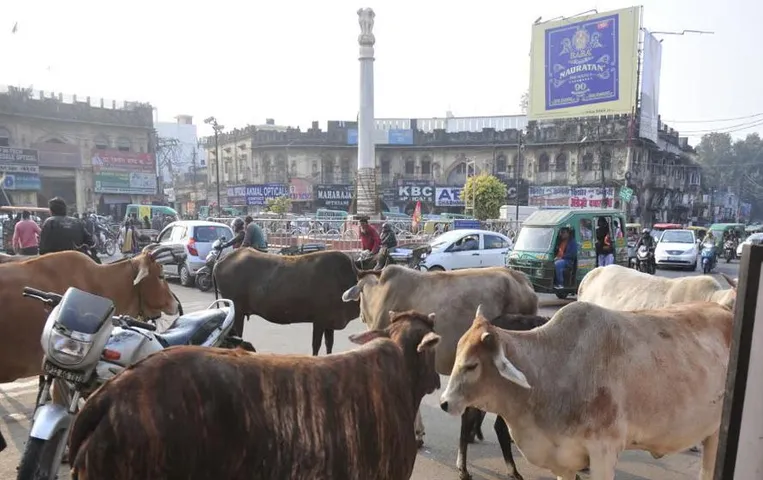 Akhilesh Yadav On Stray Animals: अखिलेश यादव ने भाजपा सरकार से आवारा पशुओं की समस्या पर मांगा स्पष्टीकरण, पढ़ें पूरी खबर