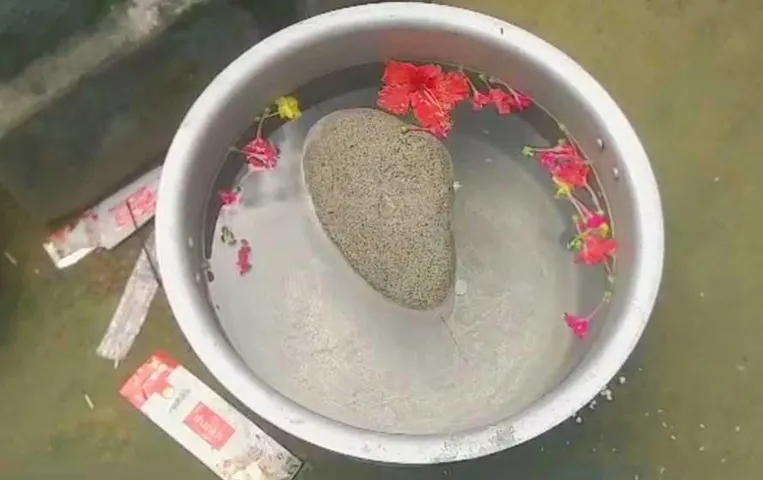 Chhattisgarh News: सूरजपुर में किसान को नदी में मिला चमत्कारी तैरता पत्थर, लगी लोगों की भीड़, जानें पूरा मामला