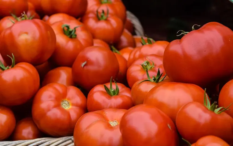 Tomato Hijack: कर्नाटक में टमाटर से लदा ट्रक हाईजैक करने वाला आरोपी गिरफ्तार, लाखों में थी कीमत