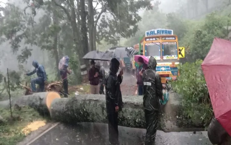 School Closed Big Breaking: तमिलनाडु में भारी बारिश का कहर, आज इन जिलों में स्कूल रहेंगे बंद