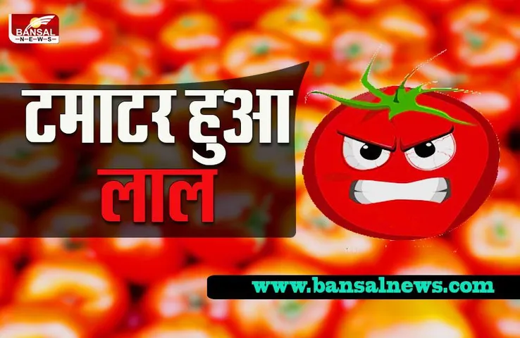 Tomato Price Hike: टमाटर की बढ़ती कीमतों से राहत दिलाएगी केंद्र सरकार, इस दिन से मिलेगा सस्ता टमाटर, चेक करें रेट्स