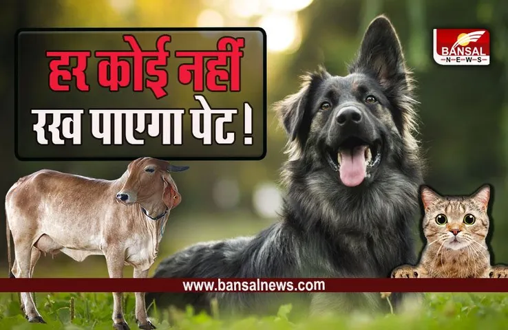 MP News : एमपी में पेट लवर्स को बड़ा झटका! बदले नियम, मल निष्कासन सहित देनी होगी ये जानकारी, अब नहीं घुमा पाएंगे आवारा