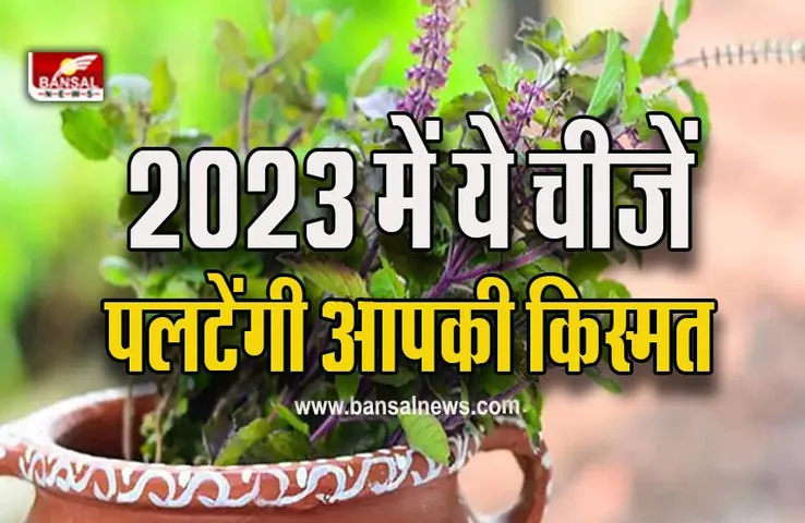 Vastu Tips For Year 2023 : नए साल के पहले ये चीजें आपके घर में लाएंगीं बरकत, आप भी जरूर लाएं