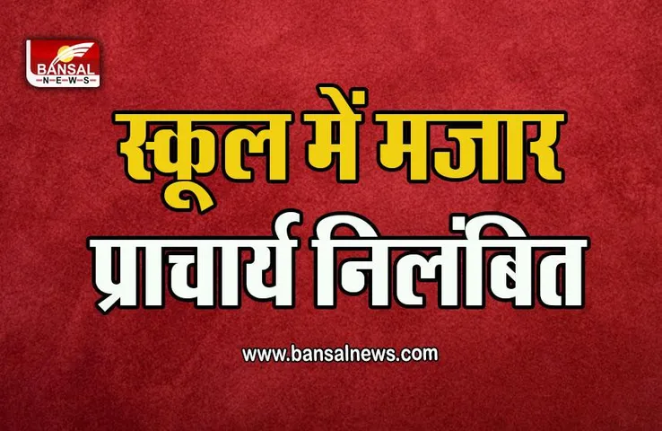 Vidisha News : सरकारी स्कूल में मजार नुमा चबूतरा बनाने के मामले में प्राचार्य निलंबित
