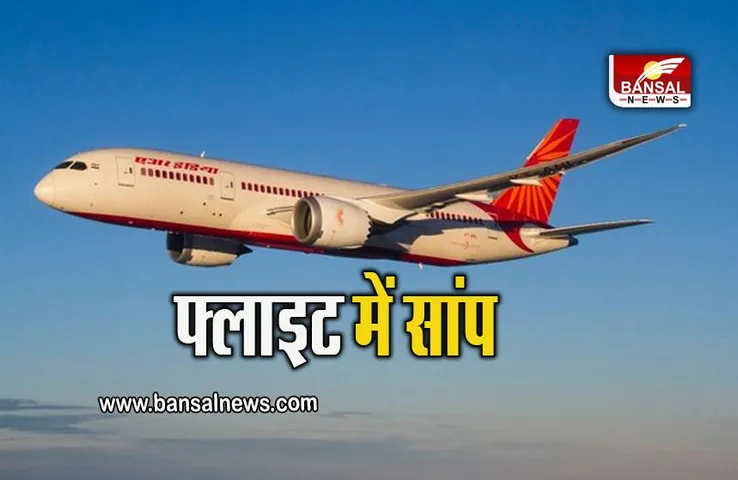 Air India: एयर इंडिया के फ्लाइट में सांप, DGCA ने दिए जांच के आदेश