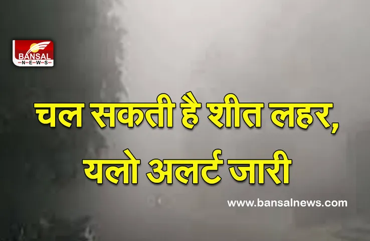MP Weather : कर लें तैयारी, कोहरा और शीत लहर को लेकर मौसम विभाग ने दी चेतावनी