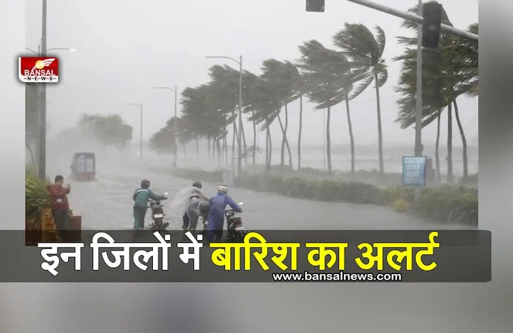 Weather Rain Alert: MP/CG में मौसम विभाग की चेतावनी, इन जिलों में बारिश का अलर्ट