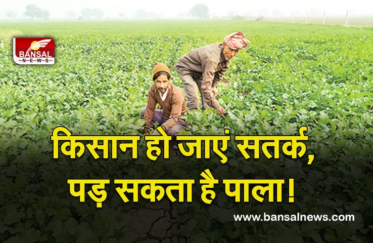 MP Weather Update : मौसम विज्ञानियों का अनुमान, पड़ सकता है पाला, किसान हो जाएं सतर्क