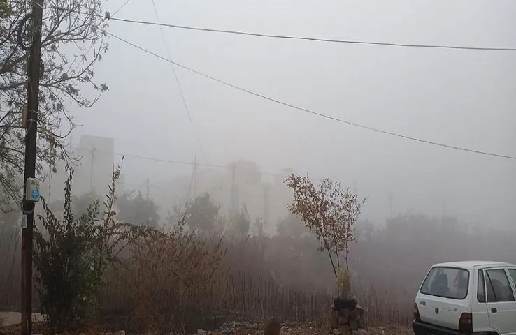 Weather Update : 22 जनवरी तक कोल्ड अटैक की चेतावनी! कोल्ड वेब के साथ कोहरे का ऑरेंज और यलो अलर्ट जारी, इन शहरों मेें छाएगा घन कोहरा