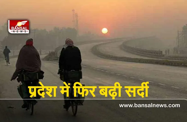 Weather Update : प्रदेश में फिर लोटी सर्दी, कई इलाकों में सर्दी का प्रकोप बढ़ा