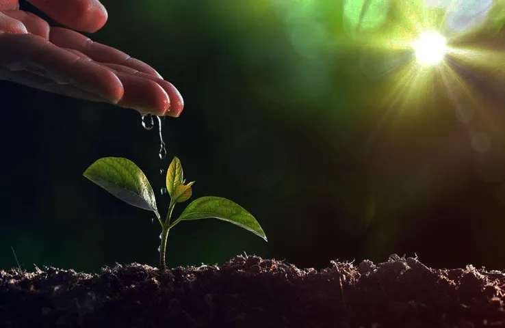 Environment: क्या आपको पता हैं 