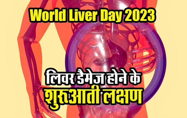 World Liver Day 2023: शरीर के इन बदलावों को न करें इग्नोर, ये हो सकते हैं लिवर डैमेज की निशानी