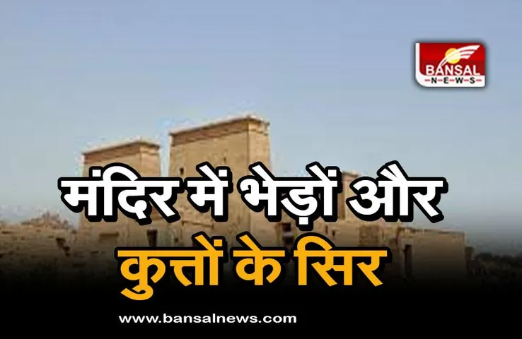 Egypt valley: मंदिर में भेड़ों और कुत्तों के सिर, खोजकर्ताओं का बड़ा खुलासा