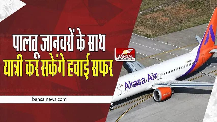 Pets Air Travel : अब नवंबर से आप भी अपने पालतू जानवरों के साथ कर पाएंगे यात्रा ! शुरू होने वाली ये एयरलाइंस