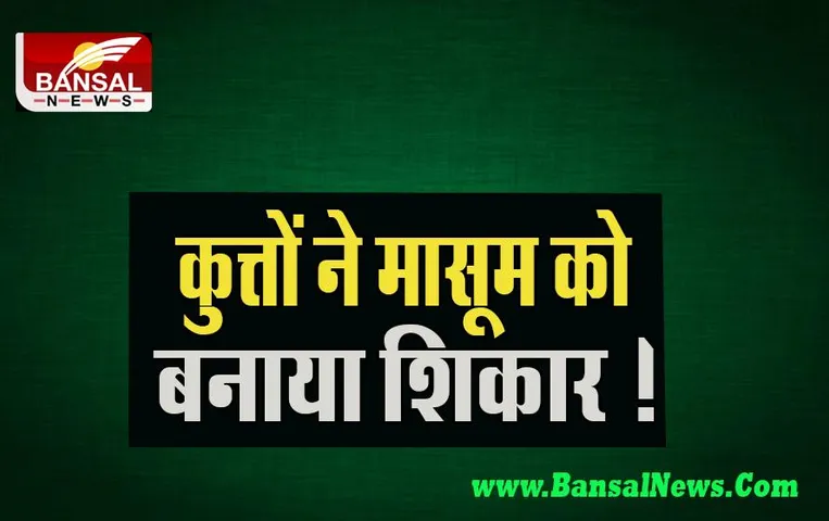 Noida Big Breaking: आवारा कुत्तों ने 7 महीने के बच्चे को बनाया शिकार !  इलाज के दौरान तोड़ा दम