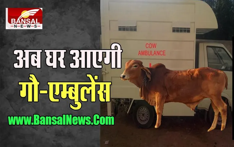 MP Cow Ambulance: आपकी गाय के इलाज के तुरंत पहुंचेंगी एंबुलेंस, मिल सकेगा त्वरित उपचार