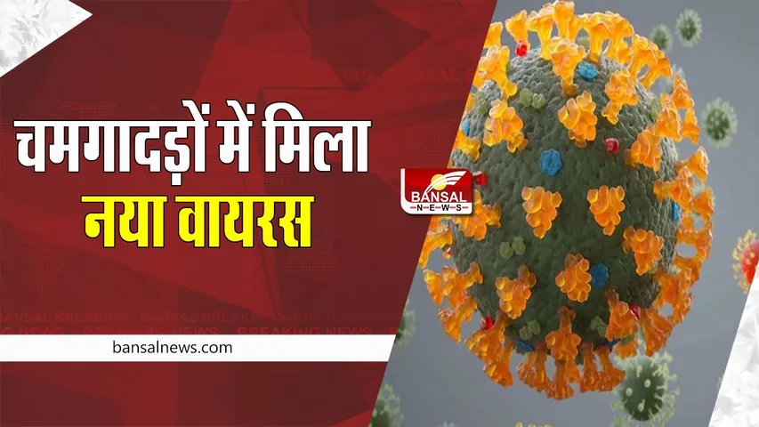 New Virus Entry: क्या कोरोना की तरह सताएगा ये नया वायरस ! अध्ययन से हुआ बड़ा खुलासा