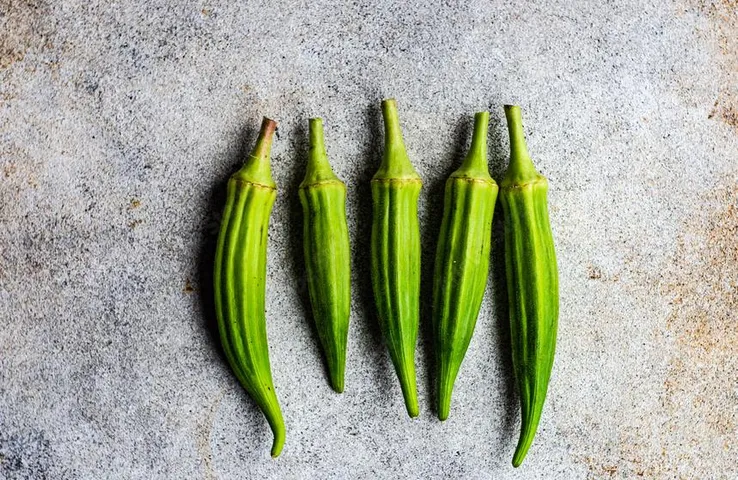Okra Oil Benefits For Hair: बालों को सॉफ्ट और शाइनी बनाता है भिंडी का तेल, जानिए इसके फायदे और कैसे करें तैयार