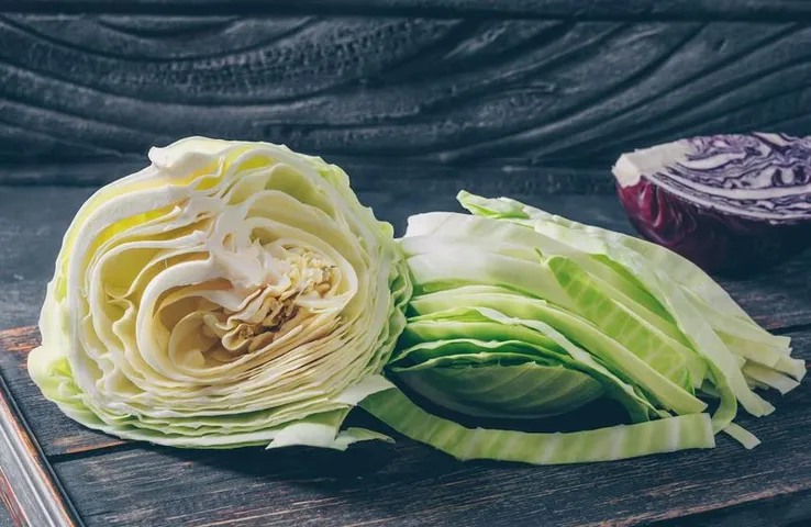 Cabbage Worms Cleaning: फूल गोभी और पत्ता गोभी में छिपे रहते है कीड़े, ऐसे करे तुरंत सफाई