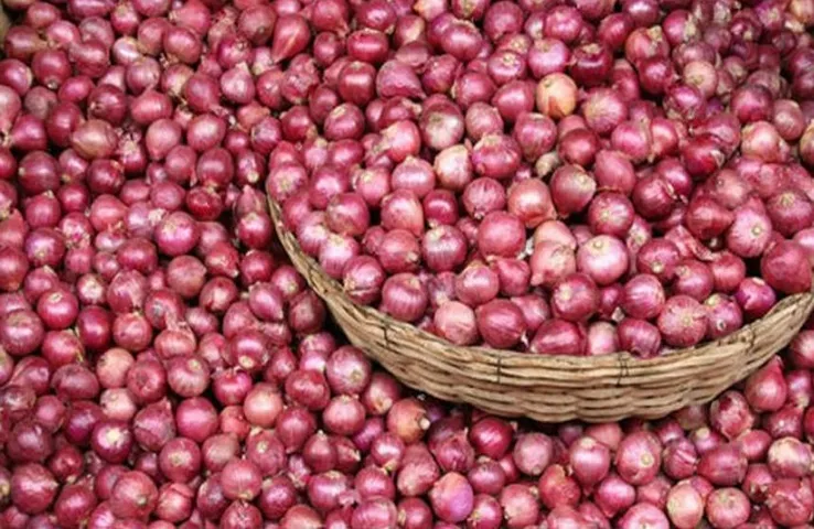 Onion Price Hike: दिवाली से पहले बढ़े प्याज के दाम, ग्राहकों को राहत देने के लिए बफर स्टॉक’ से बढ़ाई बिक्री