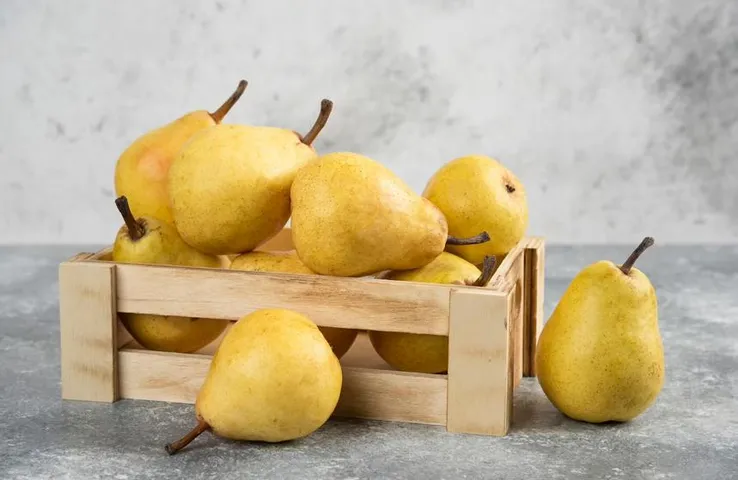 Pear Fruit Benefits: मौसमी बीमारियों से बचाता है नाशपाती का सेवन, जानिए इसके और भी फायदे