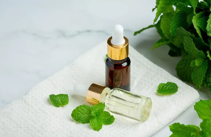 Benefits of Peppermint Oil: मांसपेशियों के दर्द को शांत करने में असरदार है पेपरमिंट ऑयल, जानें इसके और भी फायदे