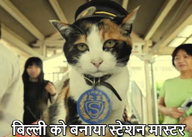 Amazing Railway Station: बिल्ली बनी स्टेशन मास्टर! ट्रेनिंग के बाद मिली बड़ी जिम्मेदारी, कहां पर है ये स्टेशन जानें