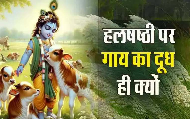 Halshashthi-Vrat-Katha